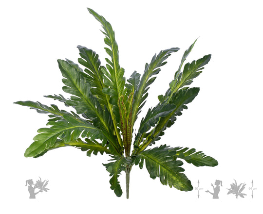 Feriga artificiala Asplenium nidus M