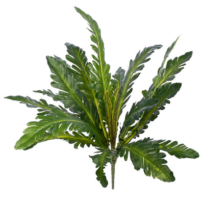 Feriga artificiala Asplenium nidus M