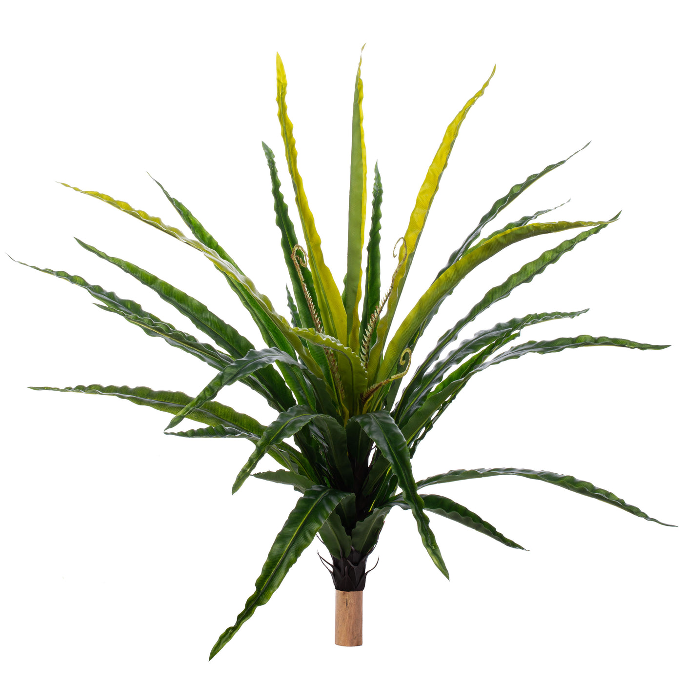 Feriga artificiala Asplenium osaka L verde