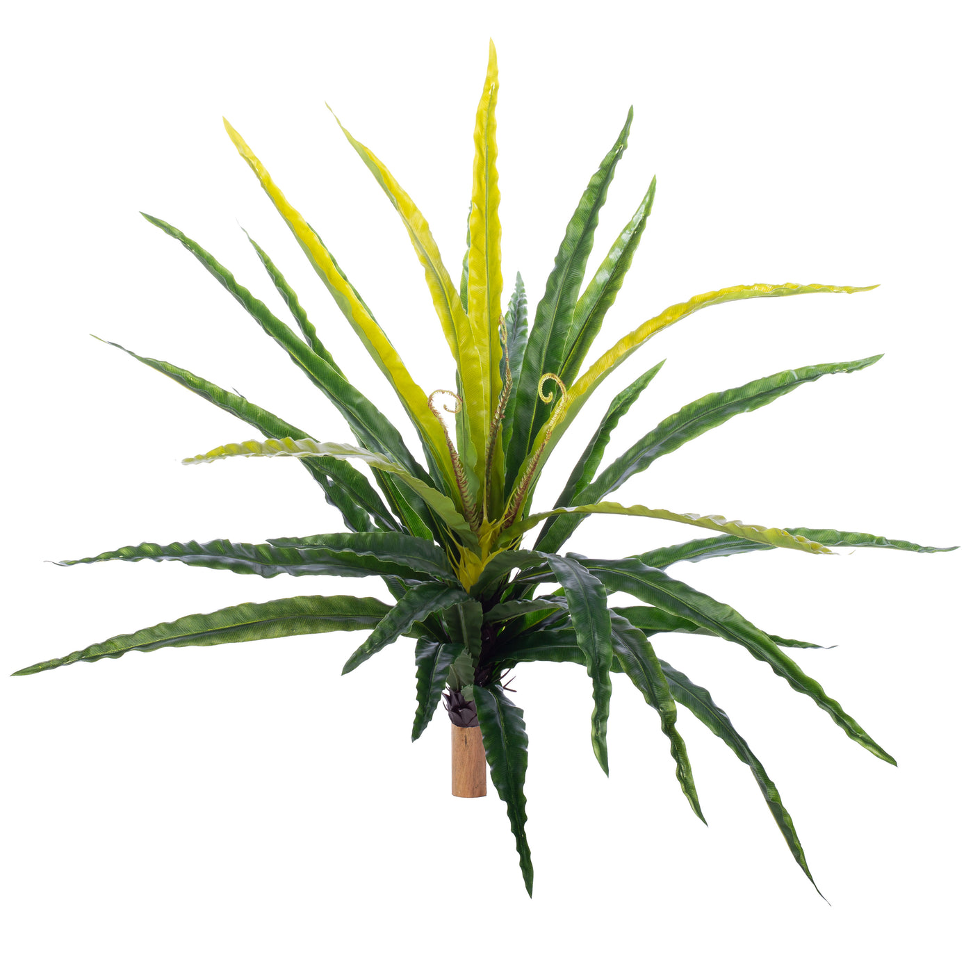 Feriga artificiala Asplenium osaka L verde