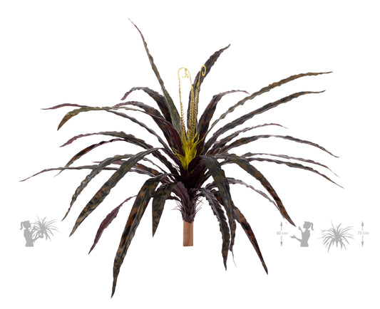 Feriga artificiala Asplenium osaka L verde-rosu