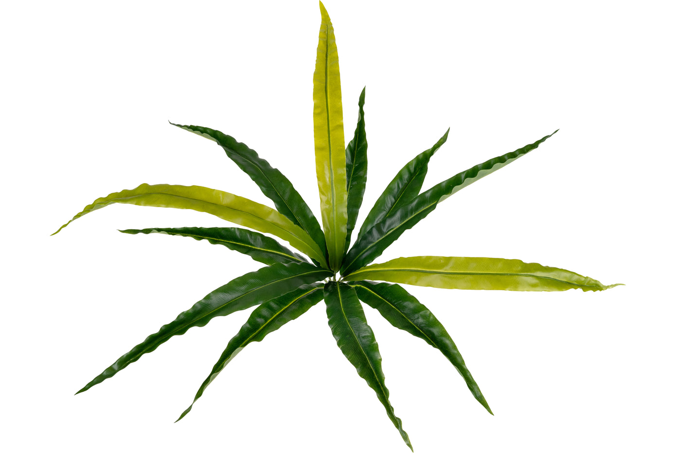 Feriga artificiala Asplenium osaka S verde