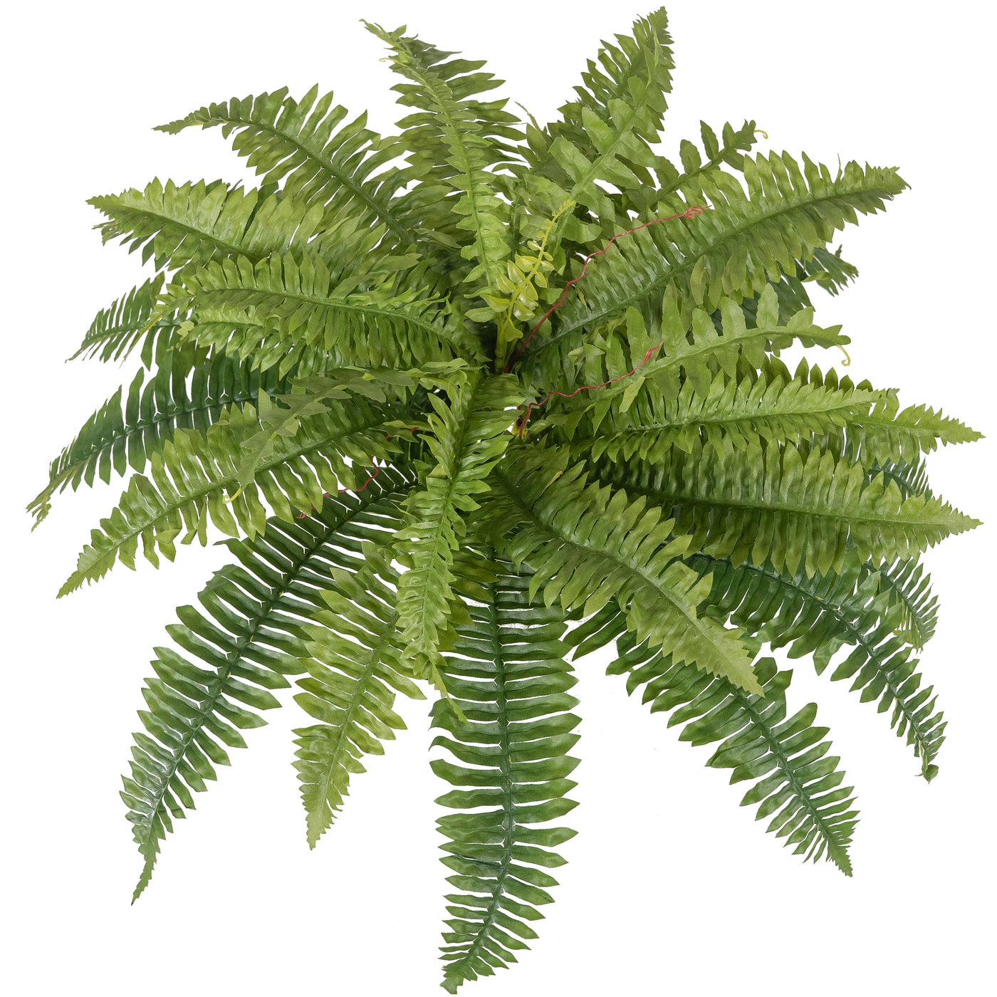 Feriga artificiala Boston 36 frunze