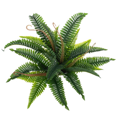 Feriga artificila Boston 21 frunze