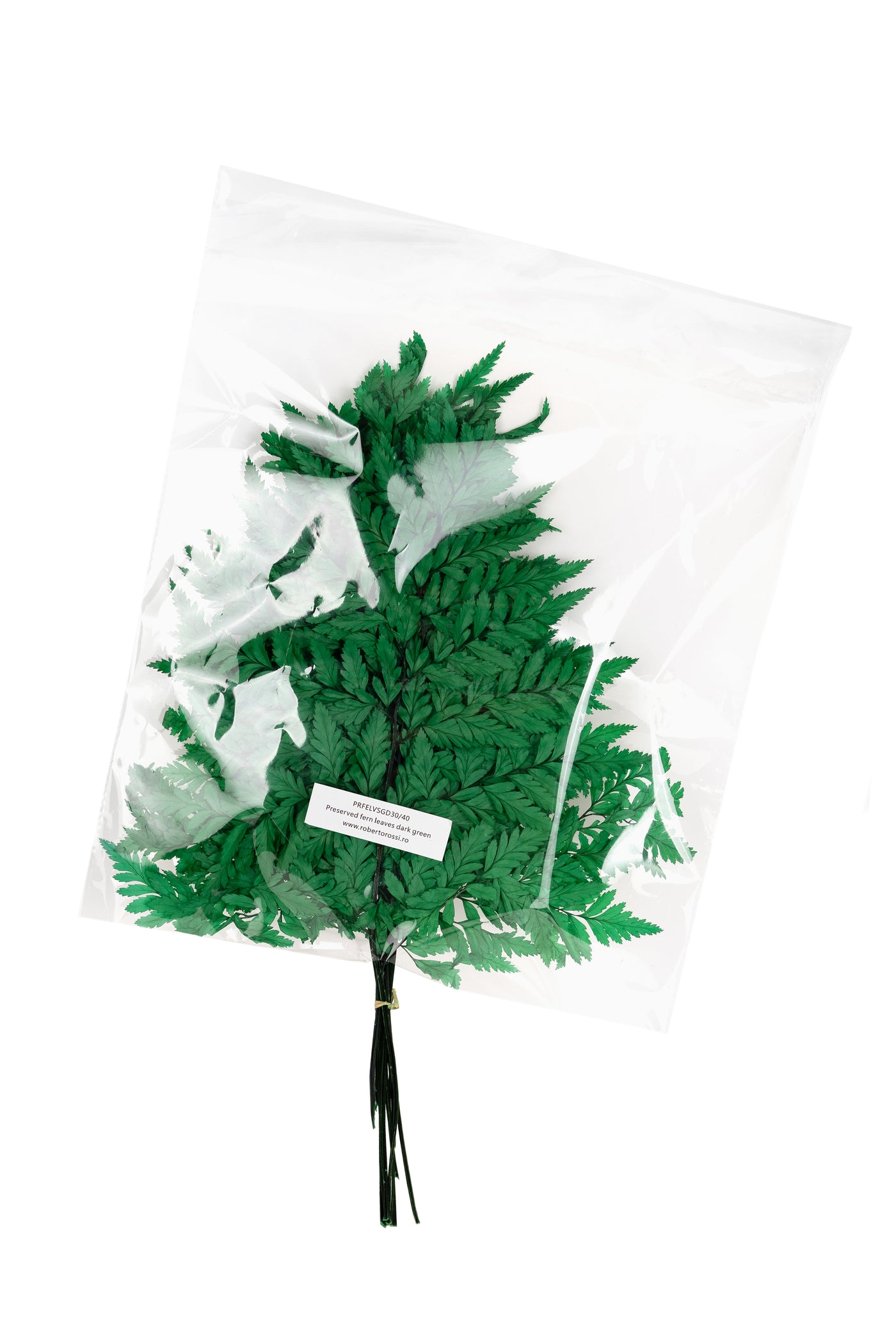 Feriga conservata H30-40 cm verde inchis