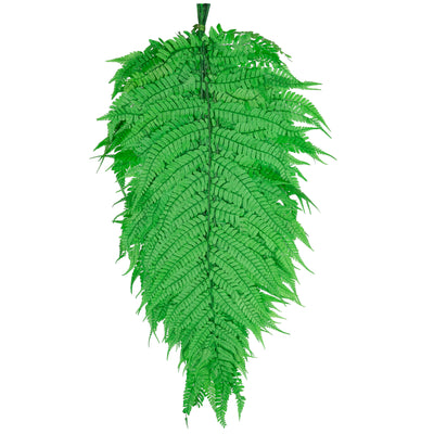 Feriga conservata H50-60 cm. verde deschis