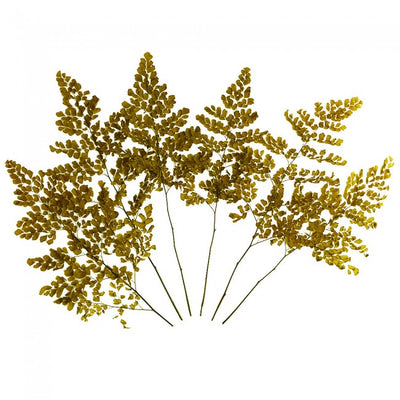 Feriga conservata Lutti H20-30 cm. verde maslin