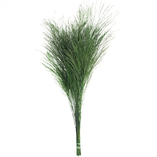 Feriga conservata Tiki H40-50 cm. verde deschis