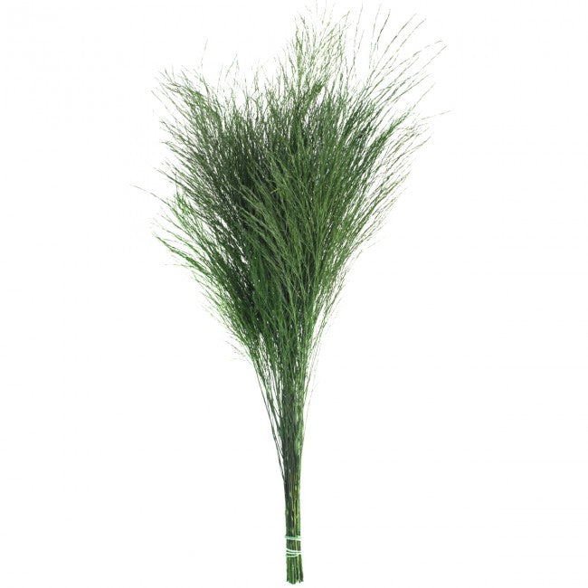 Feriga conservata Tiki H40-50 cm. verde deschis