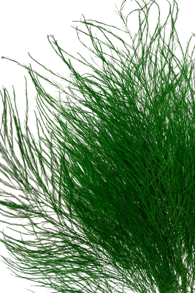 Feriga conservata Tiki H40-50 cm verde deschis RR54