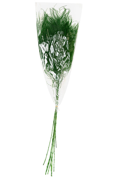 Feriga conservata Tiki H40-50 cm verde deschis RR54