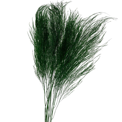 Feriga conservata Tiki H40-50 cm verde inchis RR1