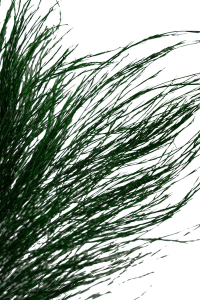 Feriga conservata Tiki H40-50 cm verde inchis RR1