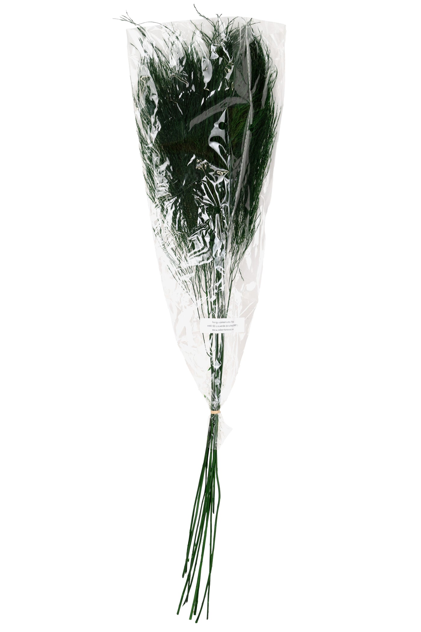 Feriga conservata Tiki H40-50 cm verde inchis RR1