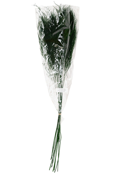 Feriga conservata Tiki H40-50 cm verde inchis RR1