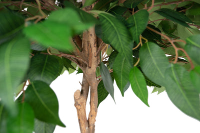 Ficus artificial cu coroana rotunda D130xH210cm cu 2520 frunze