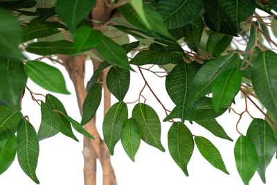 Copac artificial H210cm Ficus cu 2520 frunze, coroana D130cm