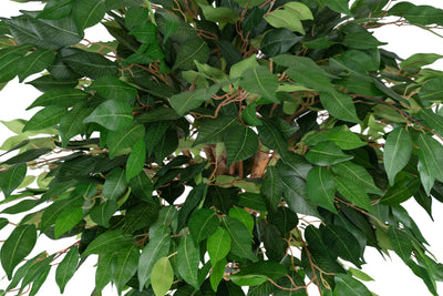 Ficus artificial cu coroana rotunda D90xH120cm cu 1260 frunze