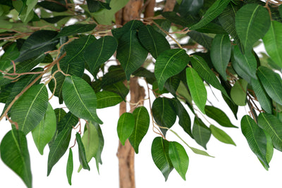 Copac artificial H120cm Ficus cu 1260 frunze, coroana D90cm