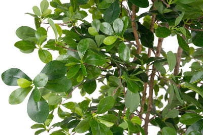 Ficus artificial orient H150 cm cu 2730 frunze