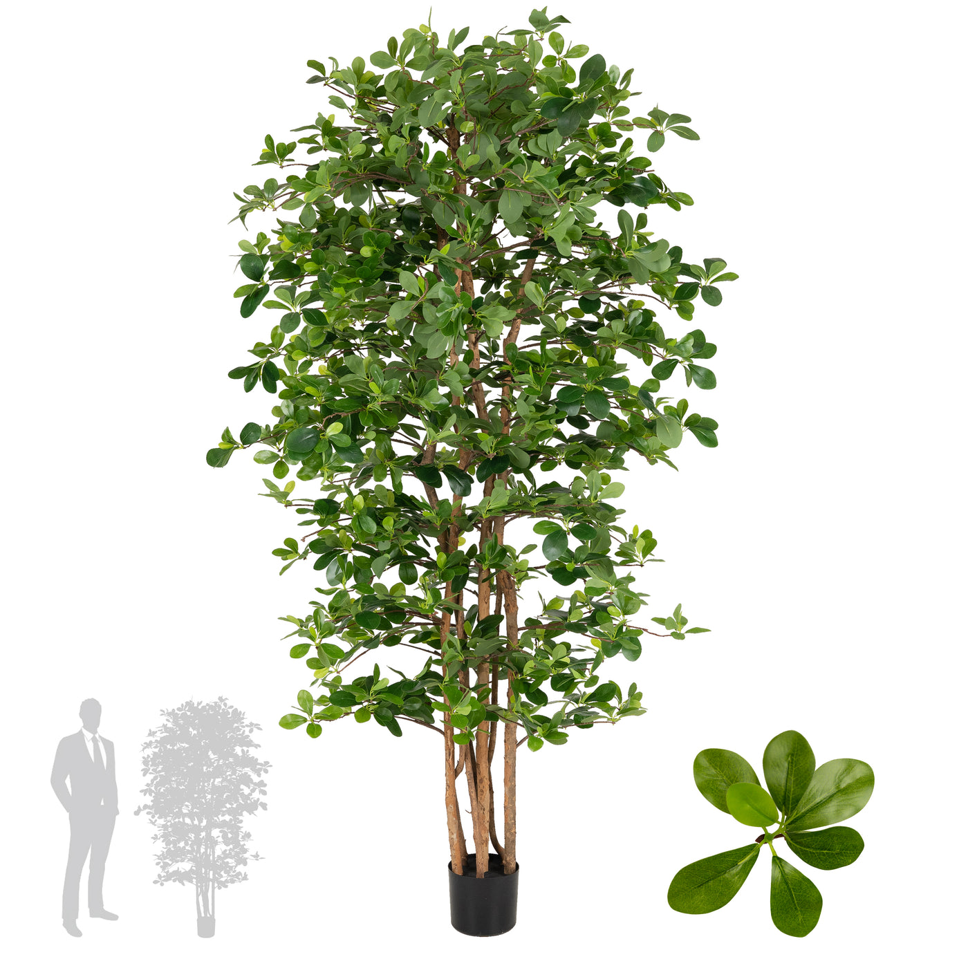 Ficus artificial orient H180 cm