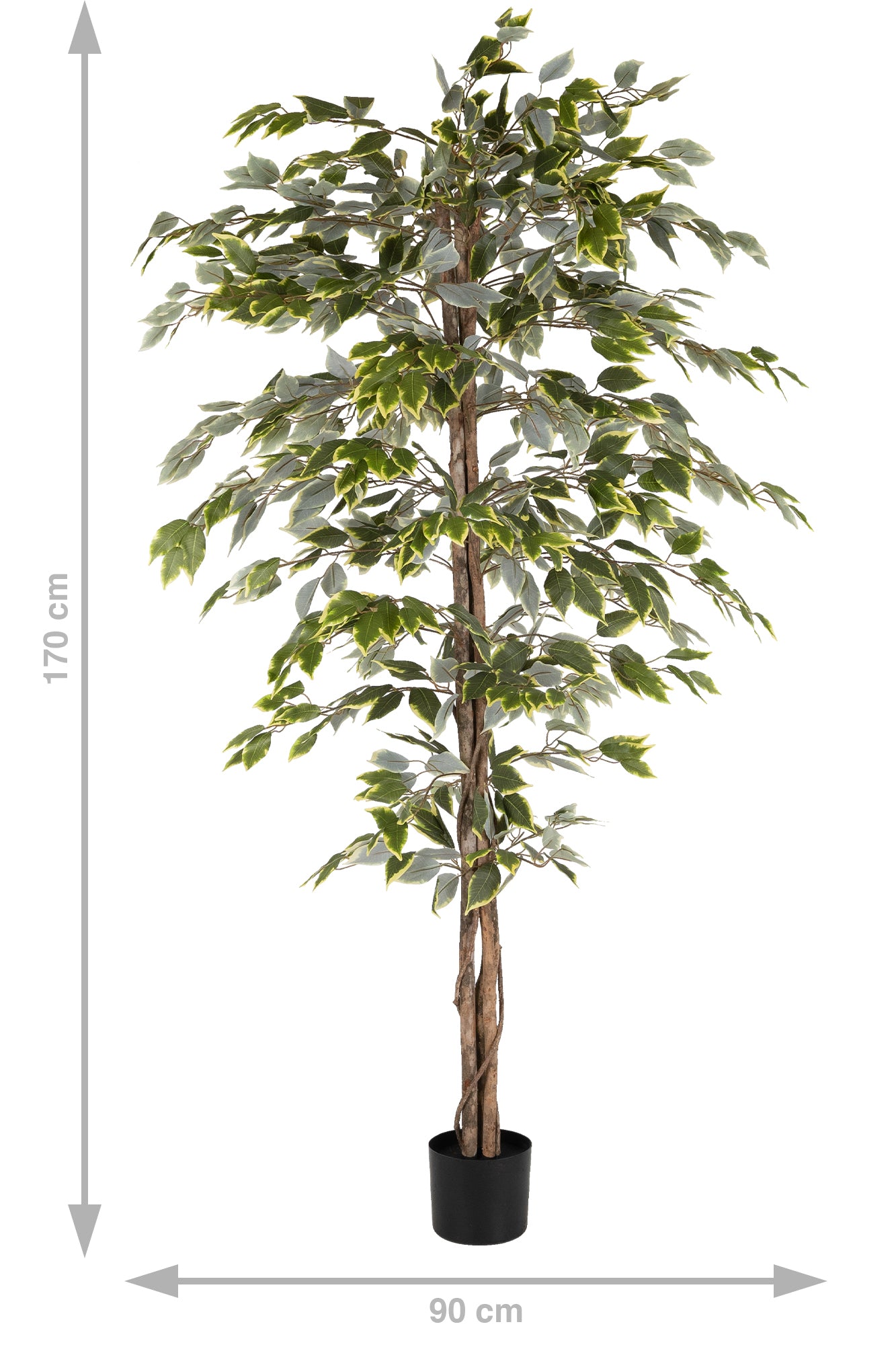 Copac artificial H170cm Ficus variegat cu 3 trunchiuri si 966 frunze verde cu alb