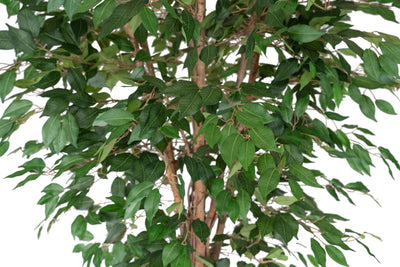 Copac artificial H225cm Ficus benjamina cu trunchiuri din lemn impletite cu 2016 frunze