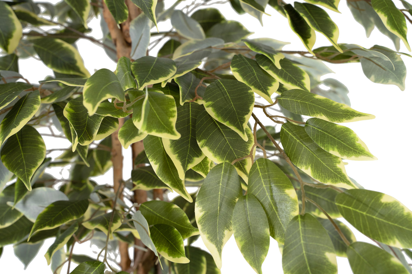 Ficus artificial benjamina varigat cu 714 frunze H130 cm