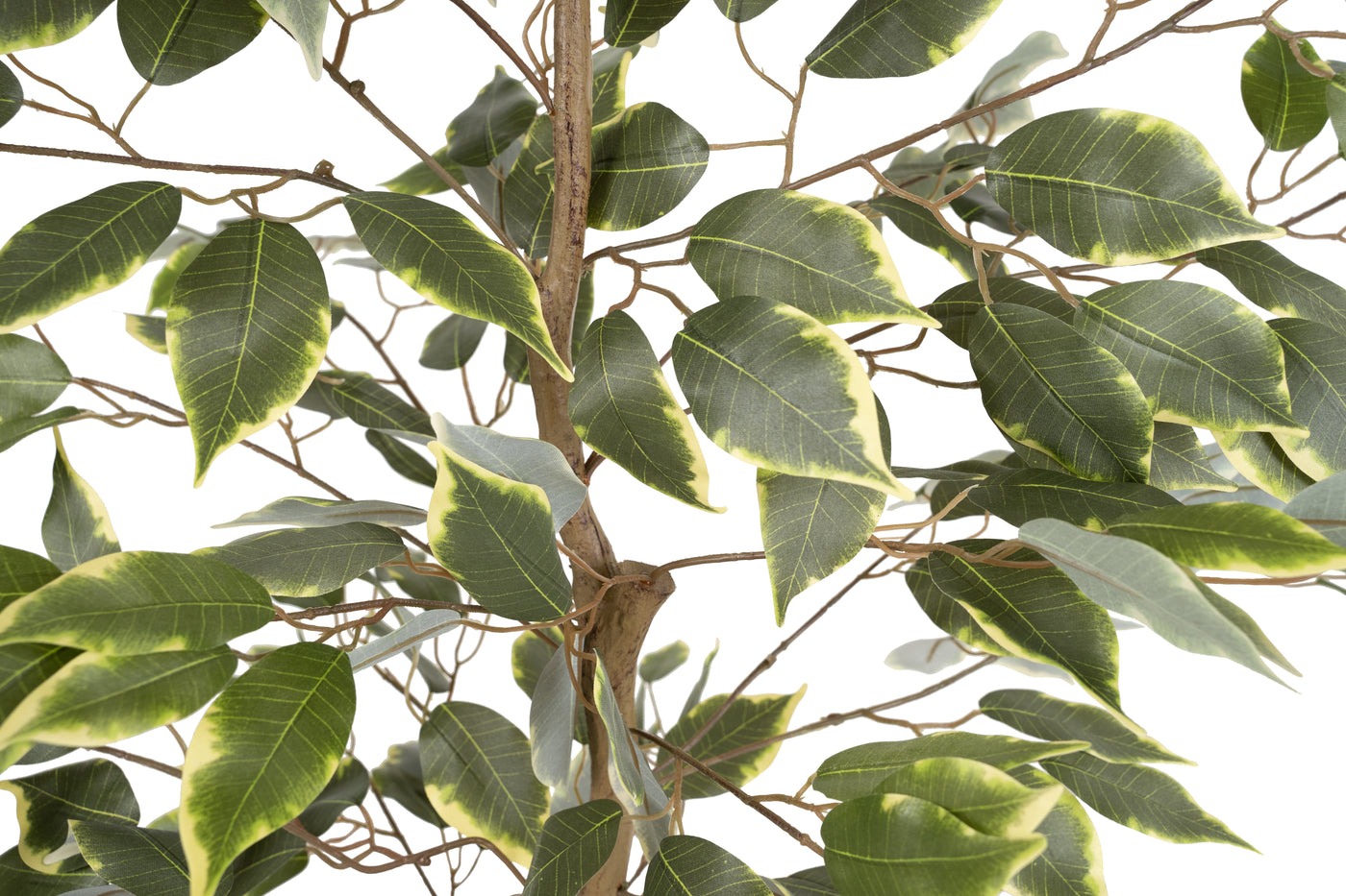 Copac artificial H90cm Ficus benjamina varigat cu 504 frunze verzi