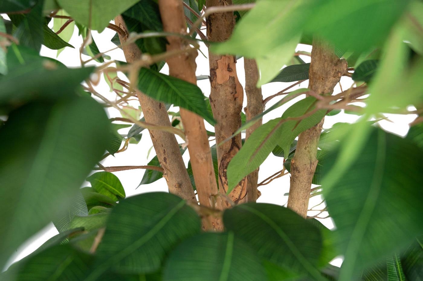 Ficus linea artificial H120 cm cu 1080 frunze