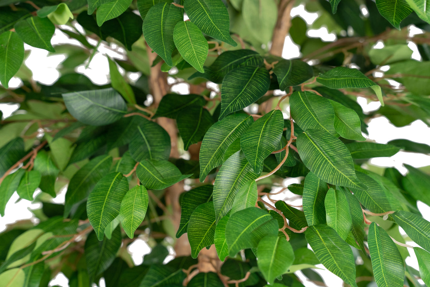 Copac artificial H180cm Ficus linea cu 1728 frunze
