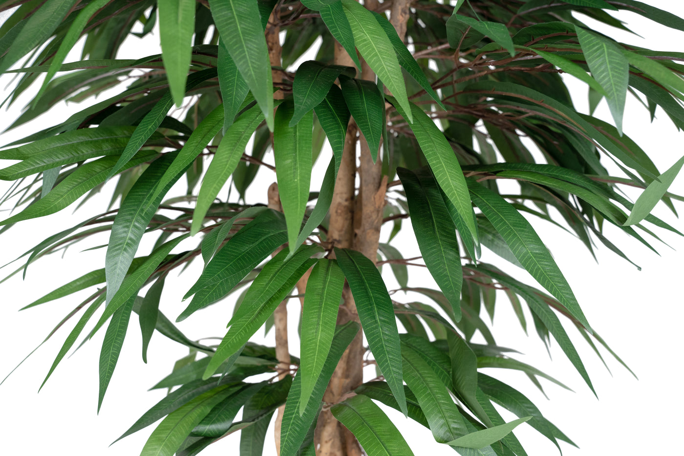 Ficus artificial longifolia cu 864 frunze H180 cm