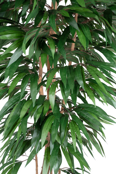 Copac artificial H200cm Ficus longifolia cu 1188 frunze