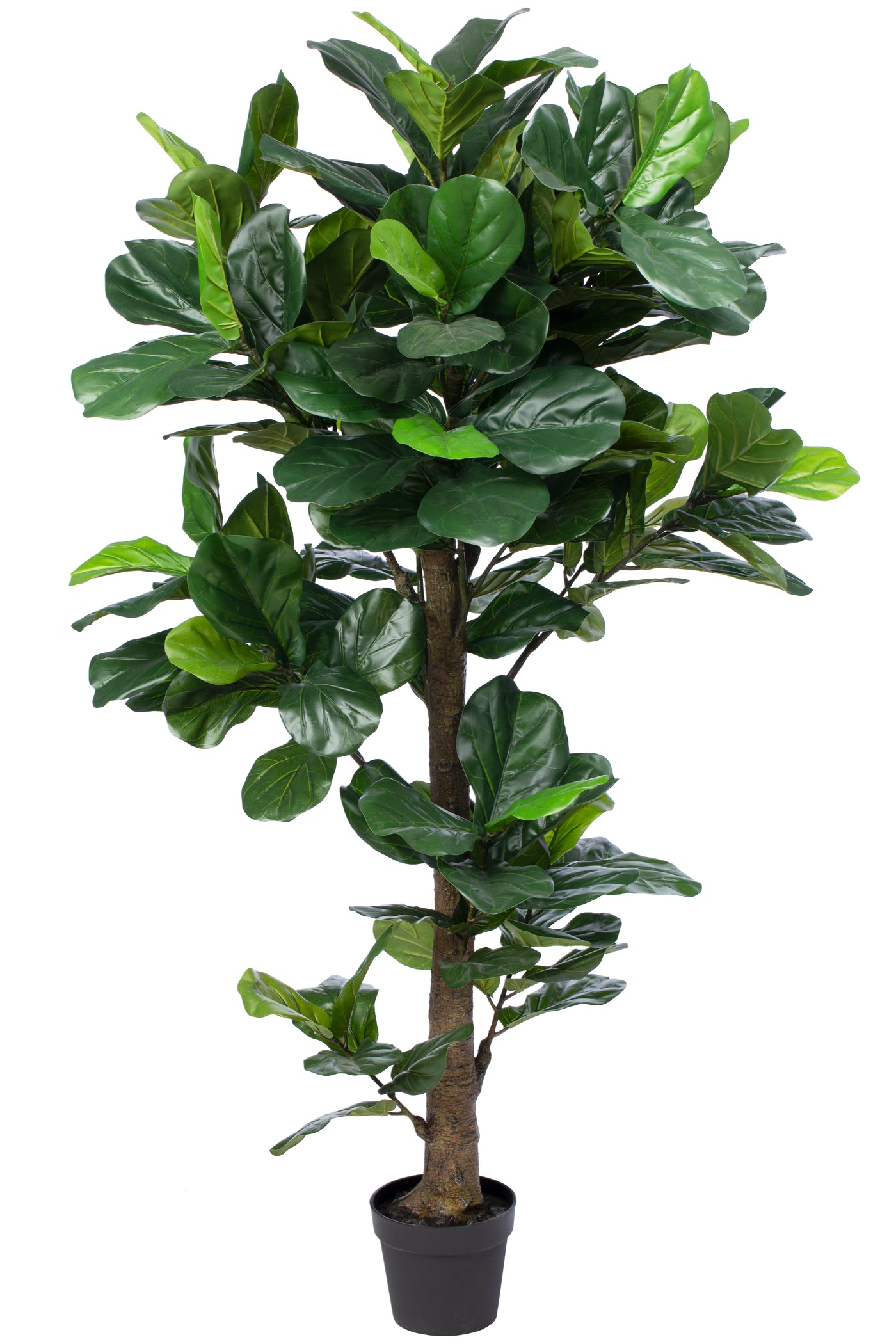 Ficus artificial lyrata H190 cm