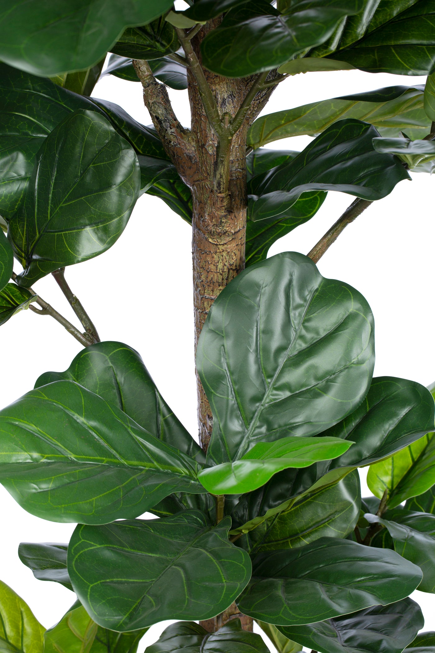 Ficus artificial lyrata H190 cm
