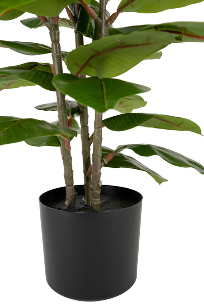 Ficus artificial Robusta cu 49 frunze verzi H100 cm