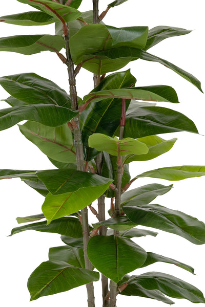 Copac artificial H100cm Ficus robusta cu 49 frunze verzi