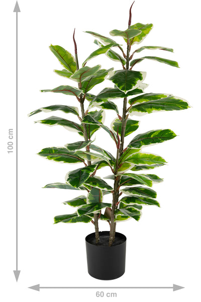 Ficus artificial Robusta variegat cu 49 frunze verde cu alb H100 cm