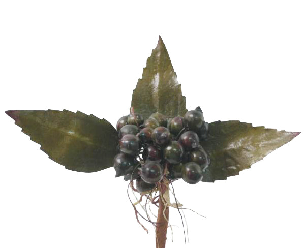 Fruct artificial Fruct artificial Fructe de padure HO maro
