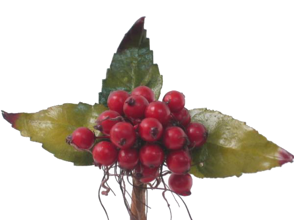 Fructe de padure HO rosu 92981