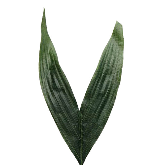 Frunza Coconut D20x35xH50 cm HO