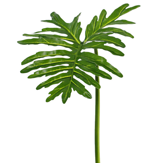 Frunza de Philodendron D40xH90 cm
