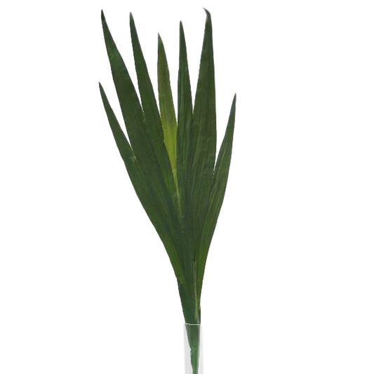 Frunza Iris HO