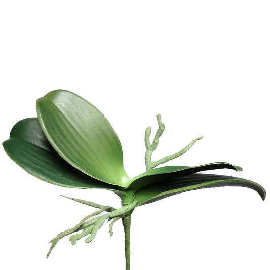 Frunze artificiale de Orhidee Phalaenopsis 13.5 cm HO