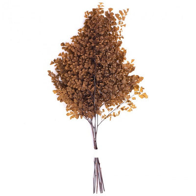 Frunze conservate de feriga Lutti H20-30 cm. maro