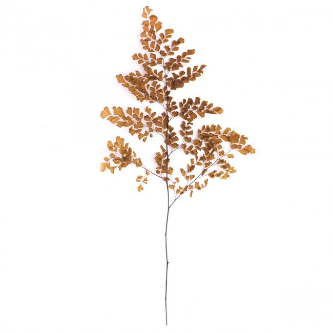 Frunze conservate de feriga Lutti H20-30 cm. maro