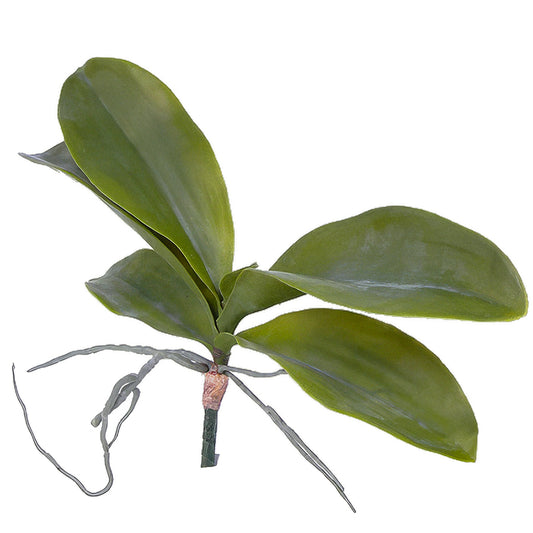 Frunze de Orhidee 38 cm verde
