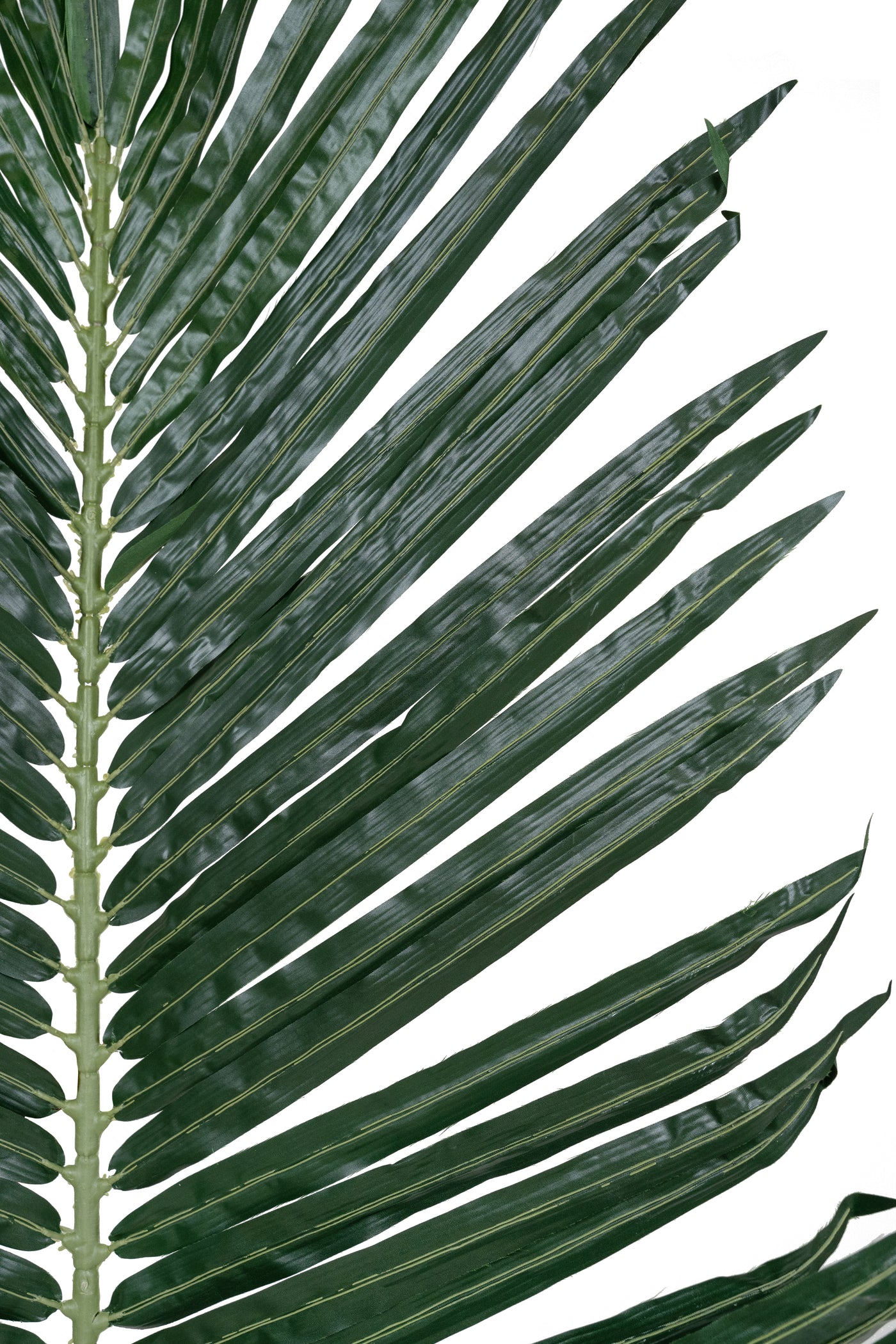 Frunze artificiale de palmier Phoenix H220 cm cu protectie UV