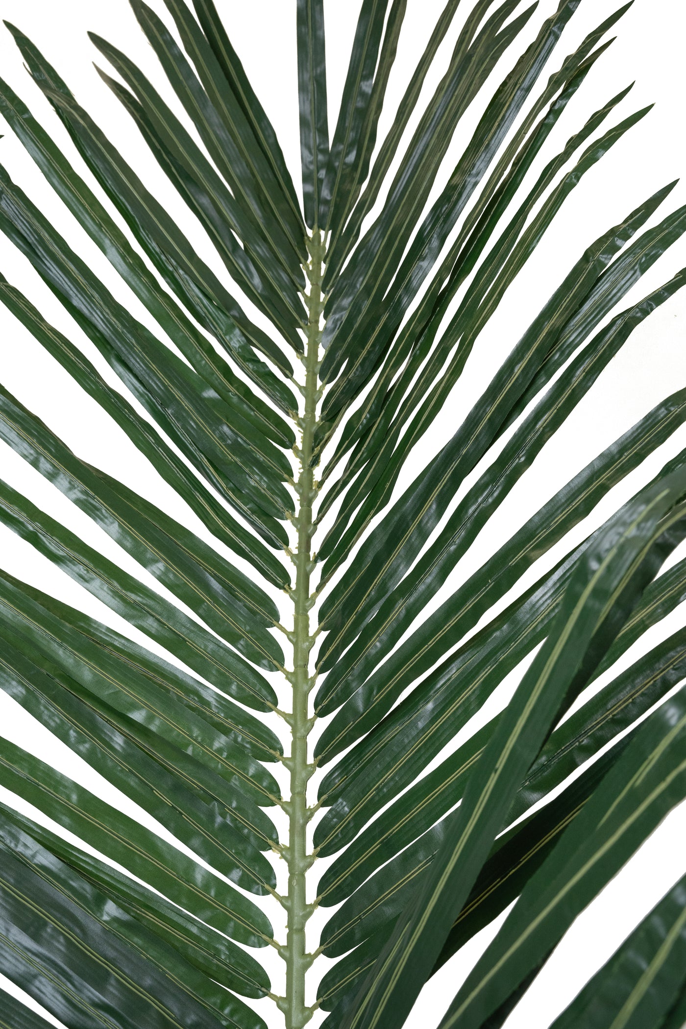 Frunze artificiale de palmier Phoenix H298 cm cu protectie UV