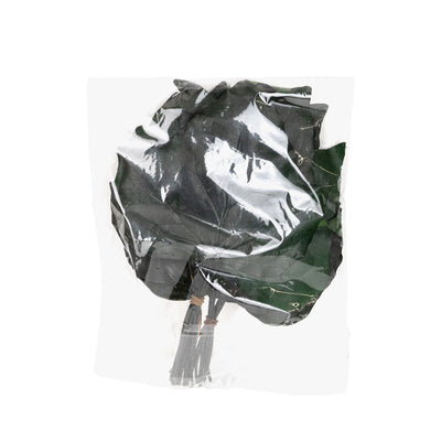 Frunze de vita de vie conservate H10-20 cm. verde